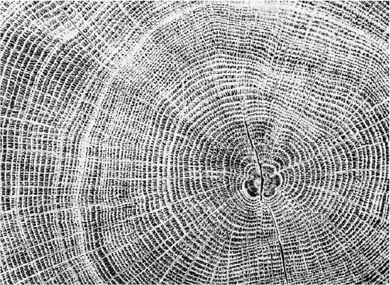 Economía circular